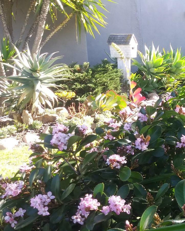 Apartamento 19 On Robyn Durbanville Exterior foto